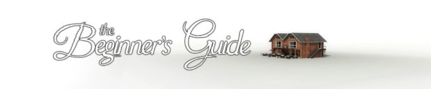The Beginner’s Guide. Creative relationship