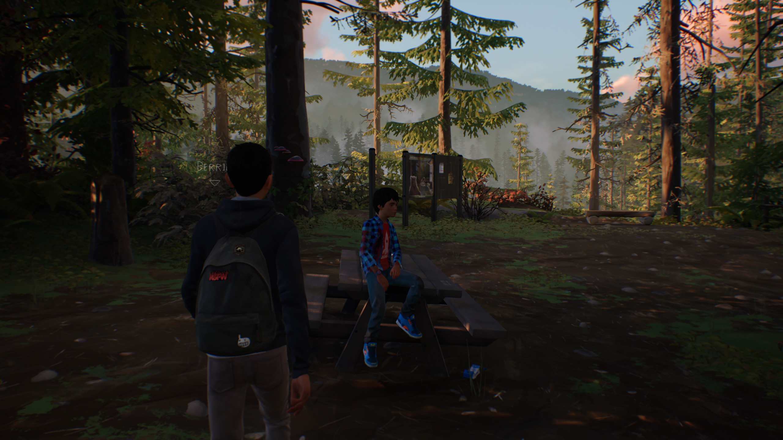 Review: Life is Strange 2