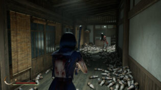 Silent Hill f, review, огляд