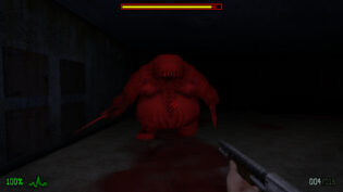 Dementium: The Ward, review, огляд