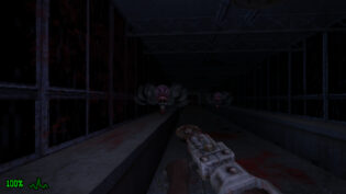 Dementium: The Ward, review, огляд