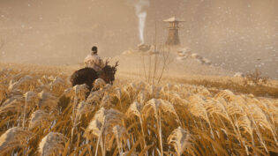 Ghost of Tsushima Director's Cut, review, огляд