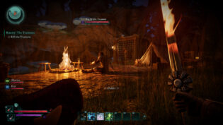 Avowed, pillars of eternity, review, огляд