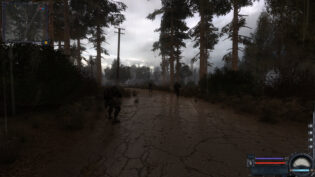 S.T.A.L.K.E.R.: Shadow of Chornobyl Enhanced Edition, Clear Sky Enhanced Edition, review, огляд