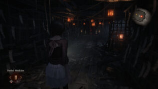 Fatal Frame II: Crimson Butterfly REMAKE, review, огляд