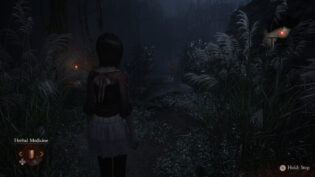 Fatal Frame II: Crimson Butterfly REMAKE, review, огляд