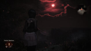 Fatal Frame II: Crimson Butterfly REMAKE, review, огляд