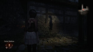 Fatal Frame II: Crimson Butterfly REMAKE, review, огляд