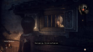 Fatal Frame II: Crimson Butterfly REMAKE, review, огляд