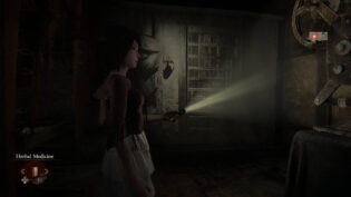 Fatal Frame II: Crimson Butterfly REMAKE, review, огляд